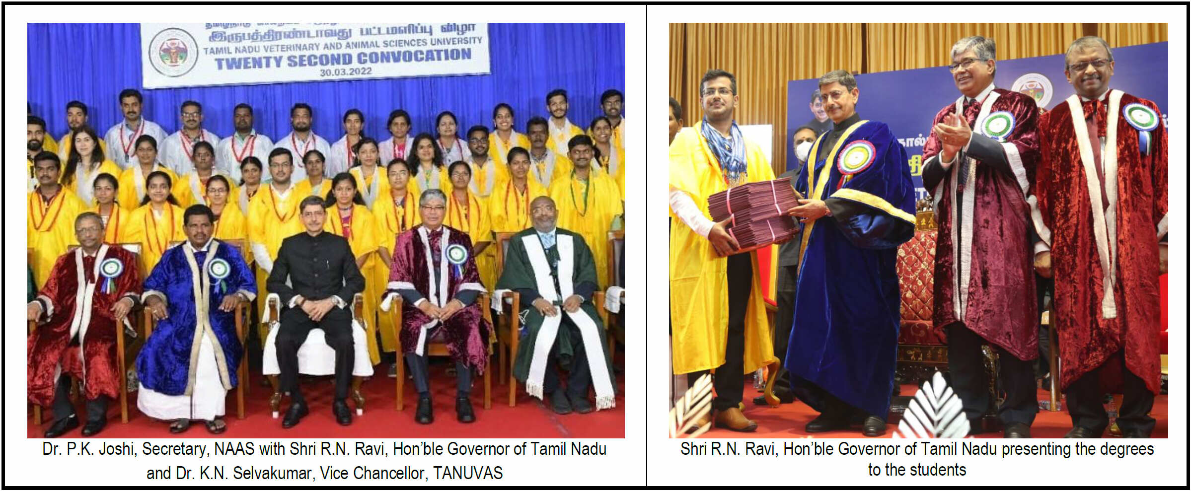 Dr P.K. Joshi, Secretary honoured as Chief Guest in the 22nd Convocation of Tamil Nadu Unversity of Veterinary and Animal Sciences (TANUVAS)